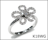 K18WG�_�C�������h�t�����[�����O