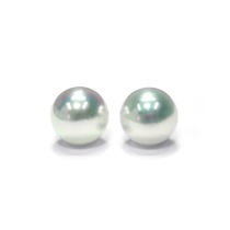 Pt900南洋真珠ピアス 10mm ボタン形